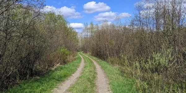 A dirt path winds through a natural area with trees and bushes under a partly cloudy sky.