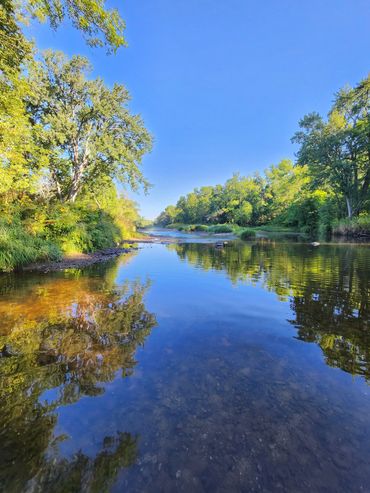 Calm river flowing through lush green trees under a clear blue sky.