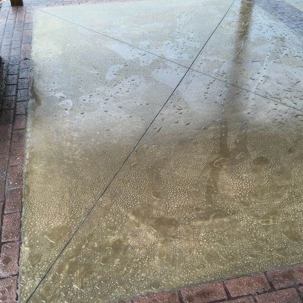 wet concrete sidewalk 