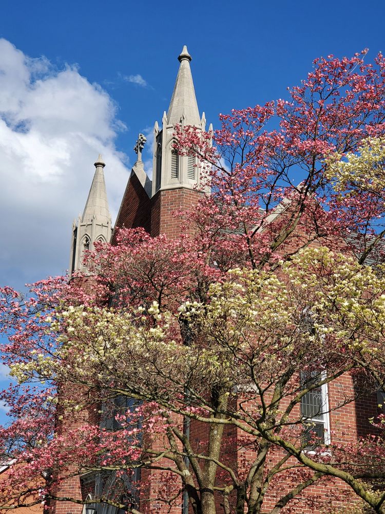 Grace in spring time