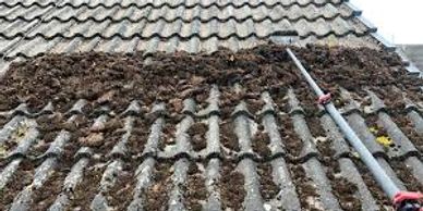 Roof cleaning and moss removal services. Exterior cleaning services