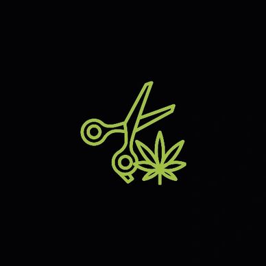 High Stakes MMJ ©2022