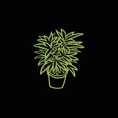 High Stakes MMJ ©2022