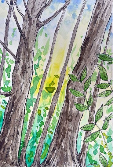 Tall Trees