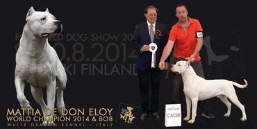 Grandfather - Mattia De Don Elloy 2014 World Champion