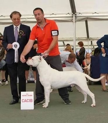 Grandfather - Mattia De Don Elloy 2014 World Champion