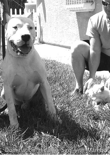 Mambo saying goodbye to his father Hidalgo