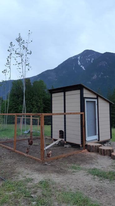 Our chickens happy home