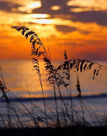 Sunsets! Reserve our stay @ Vacations by Fayla, today.