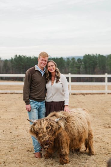 A couple poses with a fluffy Highland cow outdoors on a farm.
