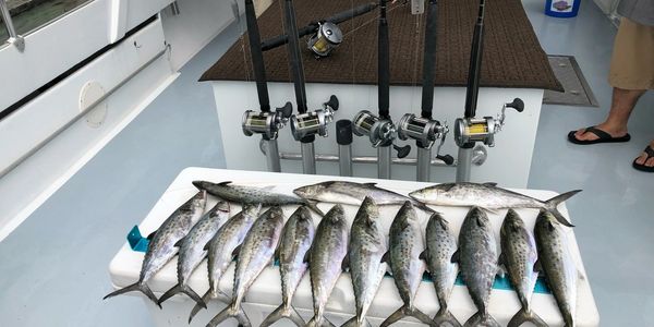 Bubba Chuck Fishing Charters