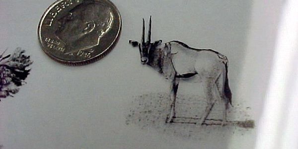 Transfer Magic image size detail