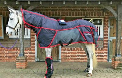 Activo Med therapy rug - Pulsed Electro Magnetic Field Therapy. Equine Physio