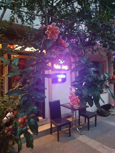 kadıköy falcı, kadıköy fal, kadıköy fal cafe, fal bakan kafeler, fal bakan yerler, tarot, kahve, fal