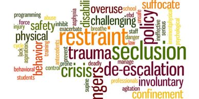 Word cloud with 3 dozens words including restraint, trauma, seclusion, and crisis.