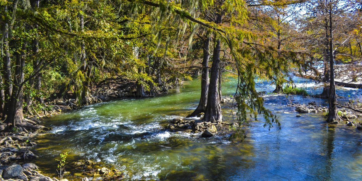 A serene river flowing through a forest with trees on its banks.