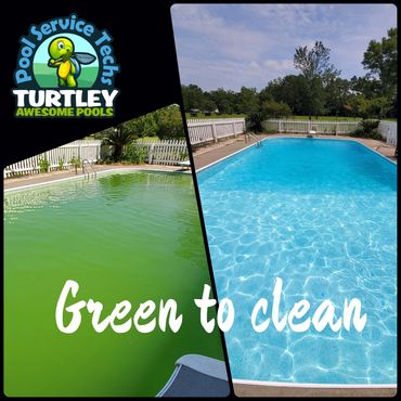 Green Pool Cleaning