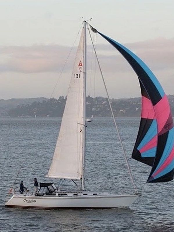 sailboat in San Francisco with spinnaker