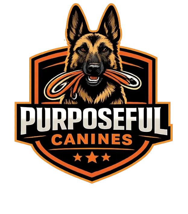Purposeful Canines logo illustration shows german shepherd holding a leash ready for training.