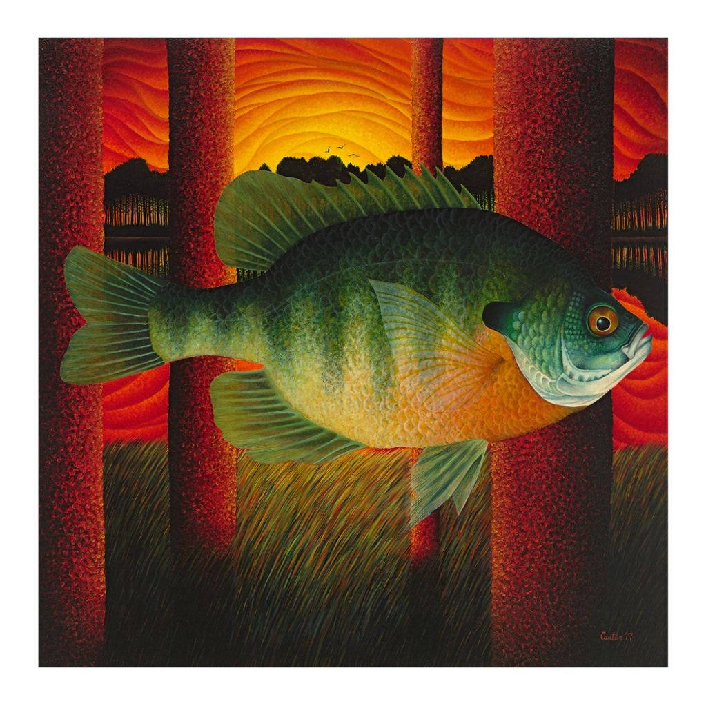 bream overlaying sunset in abstract painting