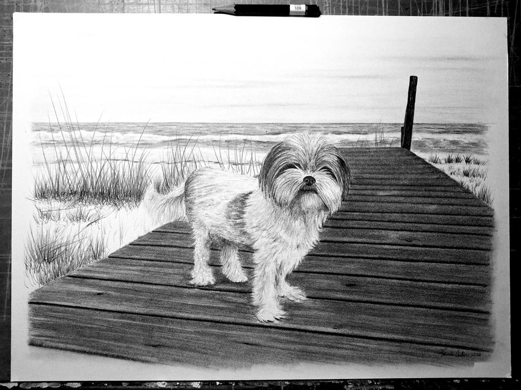 pencil drawing of dog on beach boardwalk