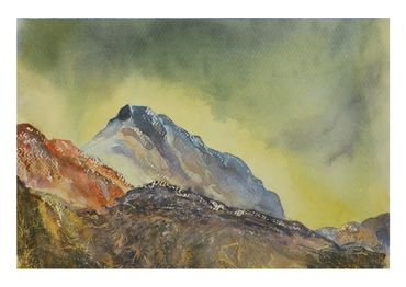 CANISP.
A4 MOUNTED PRINT