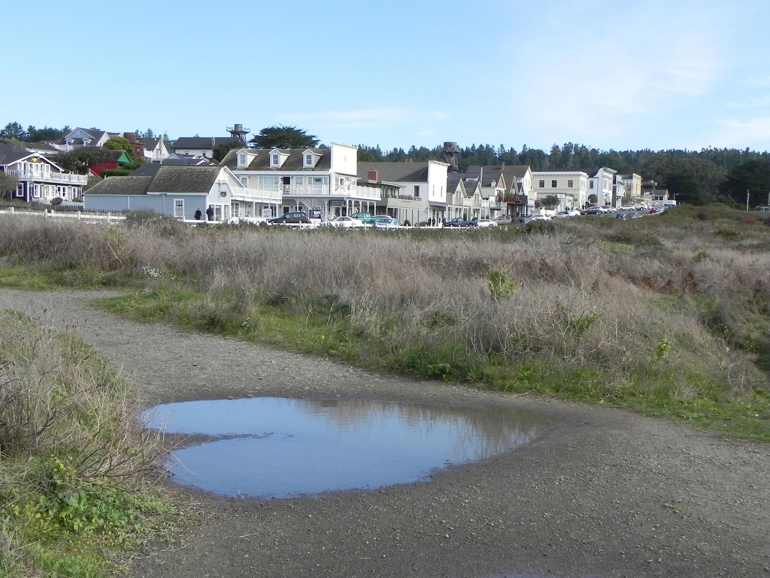 Mendocino Lodging | Mendocino Bed And Breakfasts