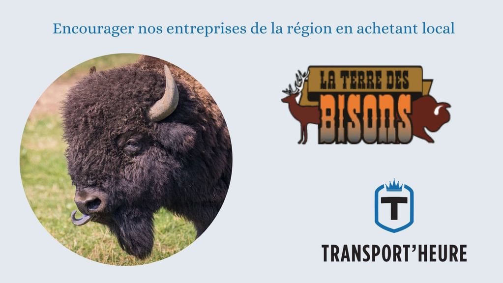 La Terre des Bisons