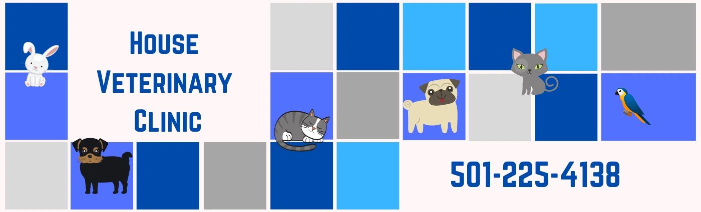 the animal house pet clinic