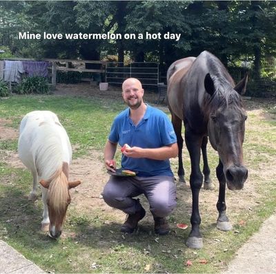 Horse vet with two horses