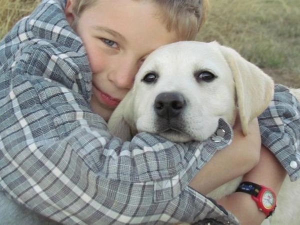 A young boy hugging a Labrador