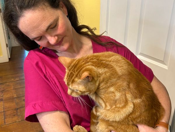 A woman in a magenta shirt lovingly holds an orange tabby cat.