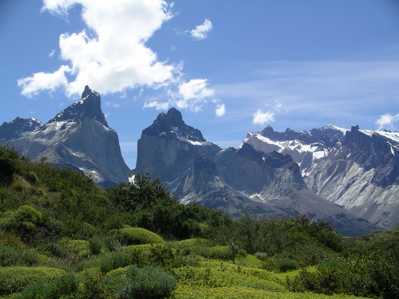 Hybenprodukter fra Andesbjergene. Fuerza Vital - den fra Chile
