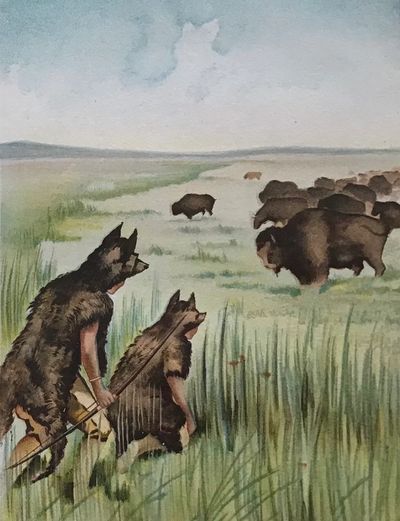 Pawnee dressed in hides