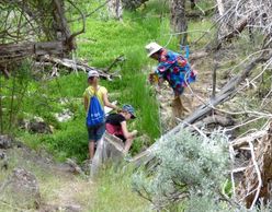 Nature and Art Journey explorers discover and draw wildlife in the creek at Colwell Cedars Retreat.