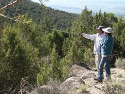The Center Ridge area of Colwell Cedars has 7 trails, thru cedar, pine, and "queen of Delta County."