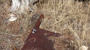 Old homestead rusty vehicle door in the weeds at Colwell Cedars Retreat.