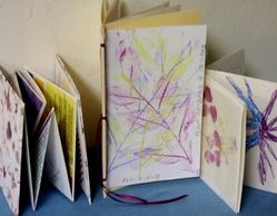 Examples of "A Closer Look" books created from Nature and Art Journey at Colwell Cedars Retreat.