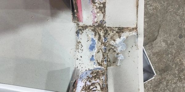 Chemical Termite Pest Control | Chemical Termite Pest Control Services | Termite Pest Control Nagpur