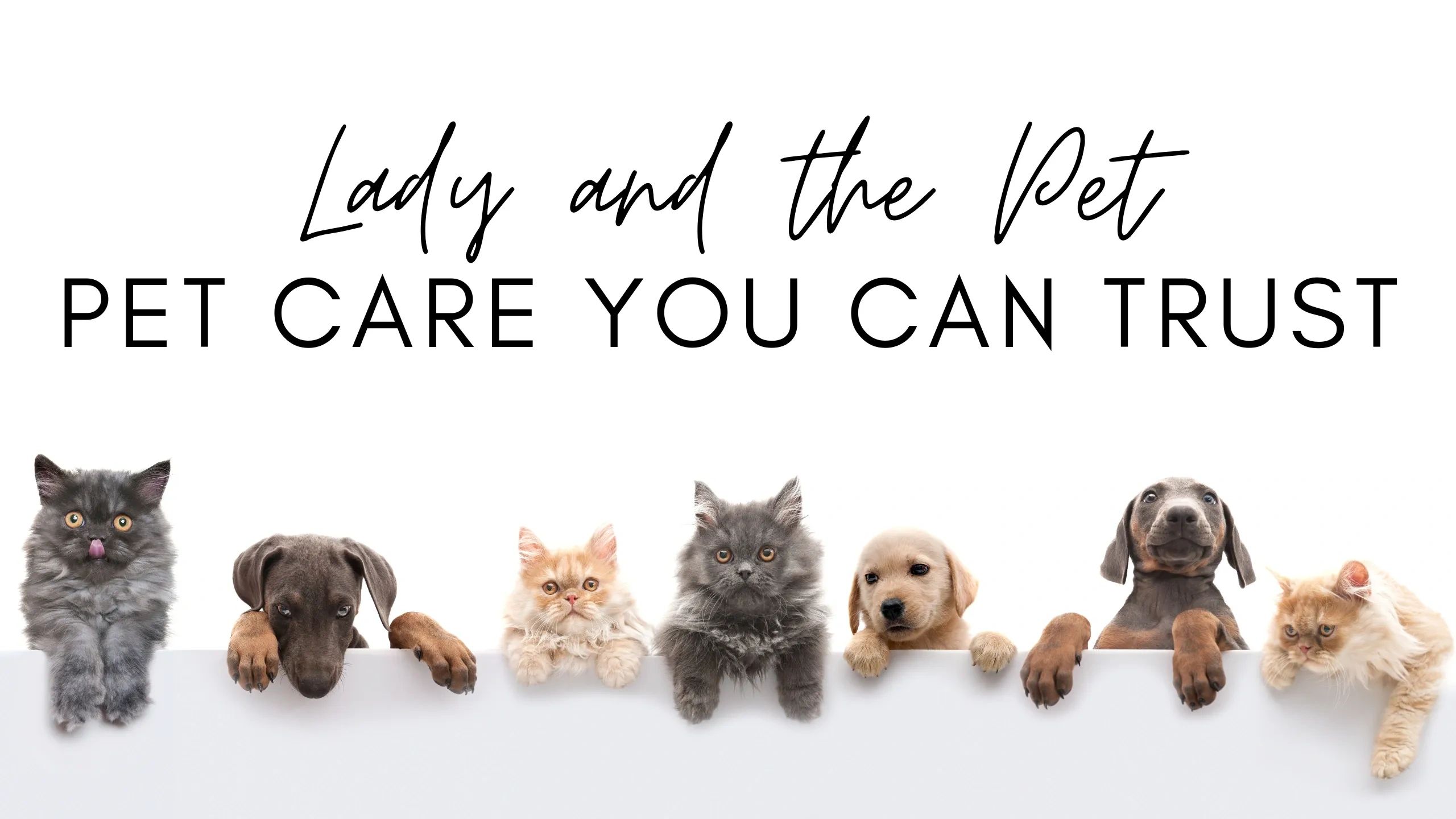 Lady and the Pet website header. Dog walking services in Broward County.