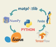Diagram showing Python and its popular libraries like NumPy, Pandas, Matplotlib, scikit-learn, and TensorFlow.