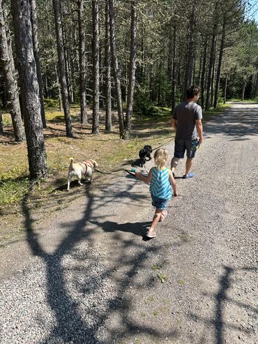 Neys Provincial Park