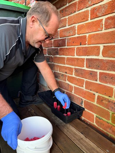 Person placing red bait into a black container outdoors.