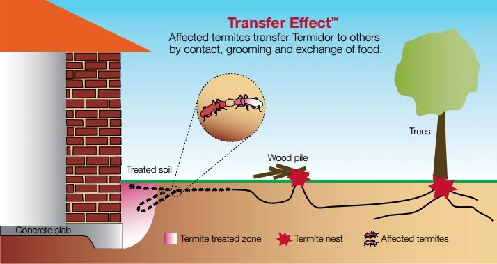 Termite Chemical Barrier