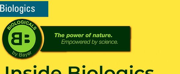 Cover Page of Internal Newsletter