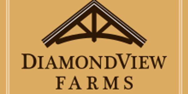 Lots for Sale
Diamondview Farms
Residential Lots
Midland, Michigan
By Mall Area
Mid-Michigan 