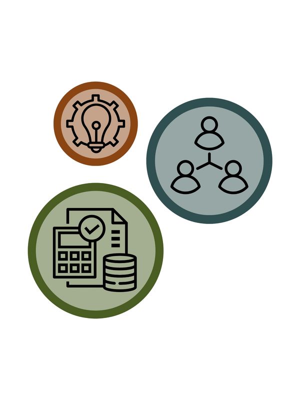 Three colored circles with icons for ideas, teamwork, and finance.