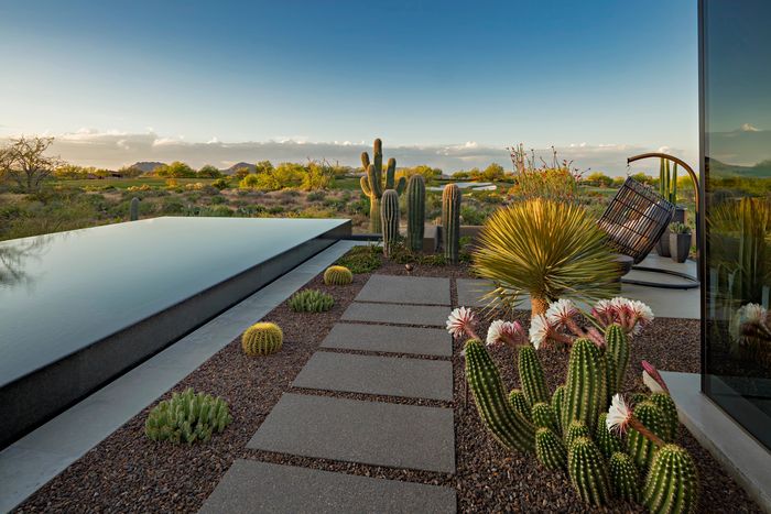 Chad Norris, High Desert Designs, Landscape Design and Install, Maintenance, Luxury