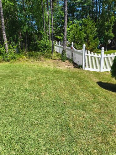 A beautiful green lawn.