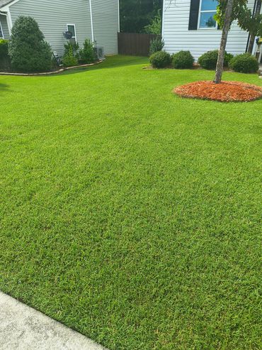 A well-maintained green lawn